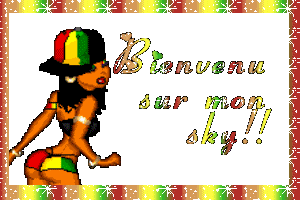 mon vip