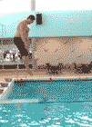 quel chute
