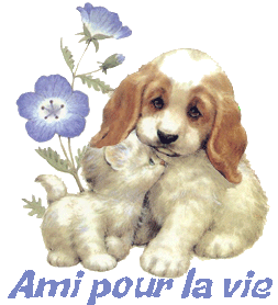 ami pour la vie